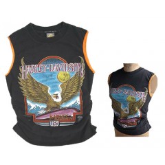 Harley Davidson Remade Moon Eagle